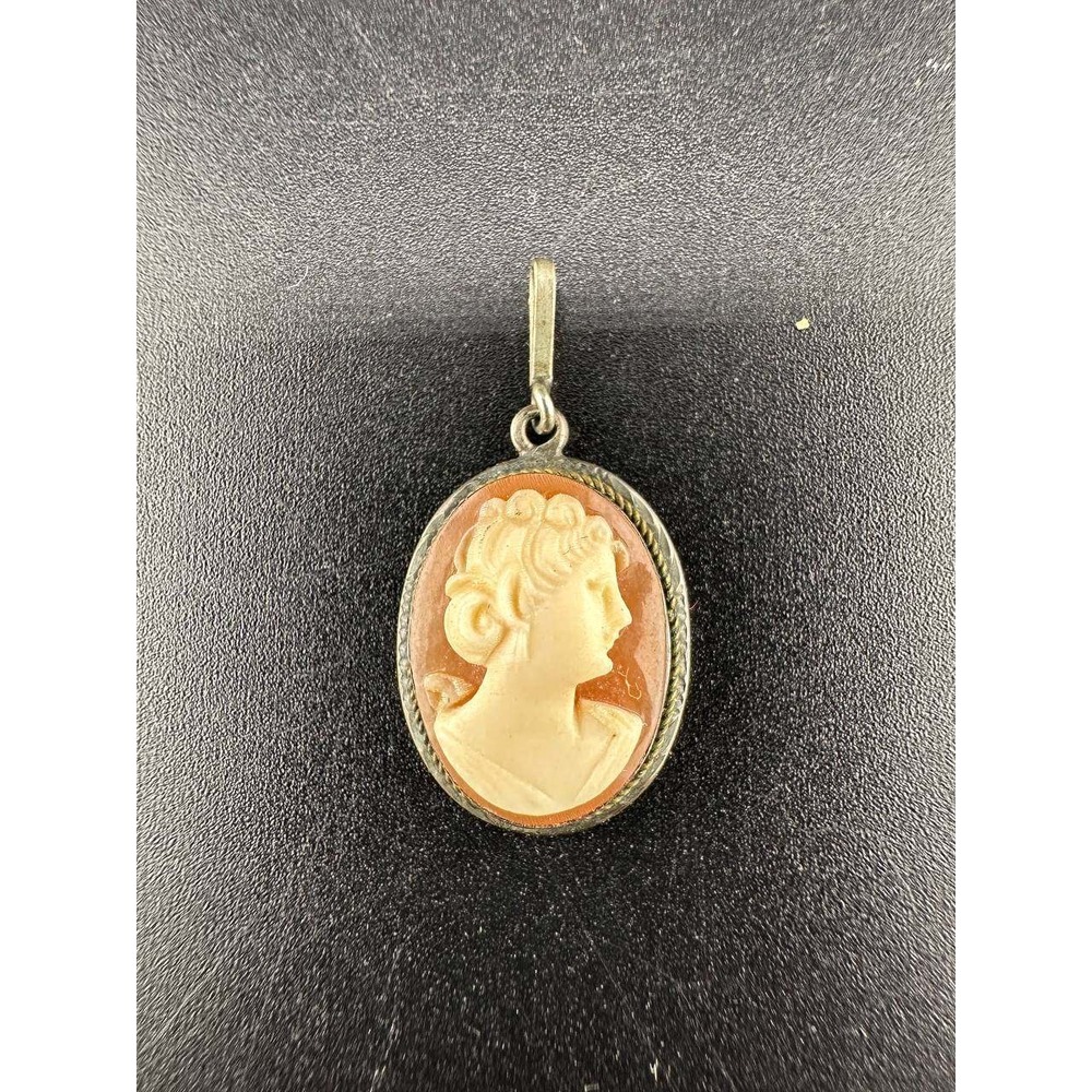 Vintage Cameo Pendant Silver Tone Rope Border Female Profile 051 (43)